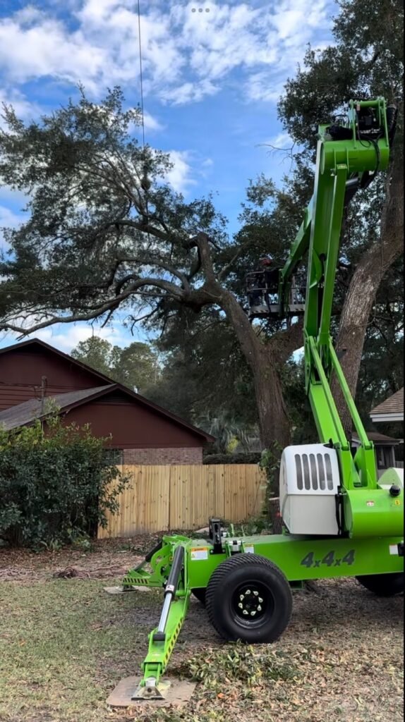 Diaz tree services 37