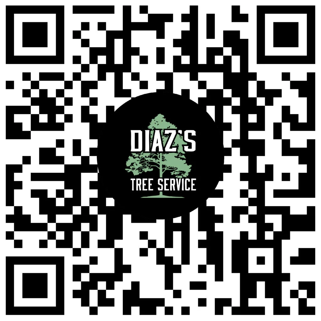 QR SCAN