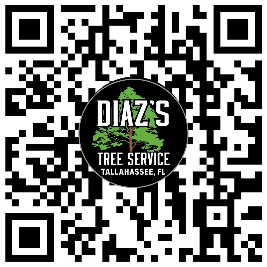diaz qr vcard 01
