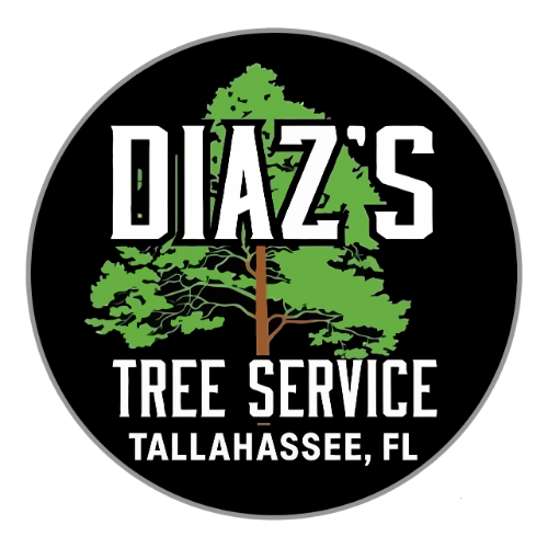 logo diaz