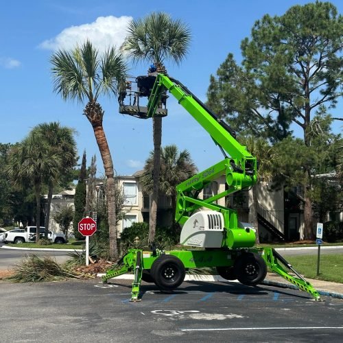 Diaz tree services 29